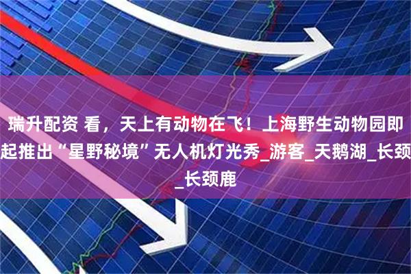 瑞升配资 看，天上有动物在飞！上海野生动物园即日起推出“星野秘境”无人机灯光秀_游客_天鹅湖_长颈鹿