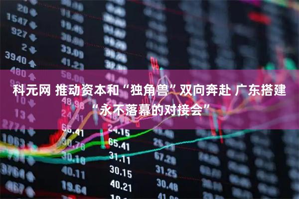 科元网 推动资本和“独角兽”双向奔赴 广东搭建“永不落幕的对接会”