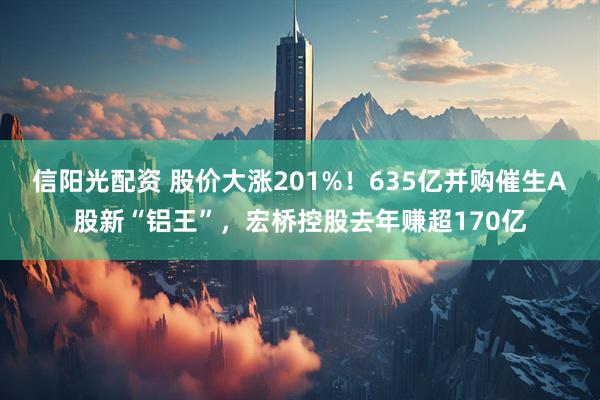 信阳光配资 股价大涨201%！635亿并购催生A股新“铝王”，宏桥控股去年赚超170亿
